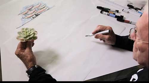 如何像建筑师一样思考：从大自然中寻找设计灵感