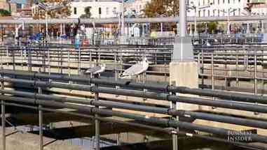 纽约新镇溪污水处理厂