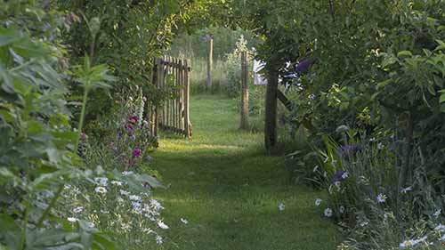 秀美园林里的园路