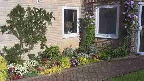 阴生园及阴生植物指南