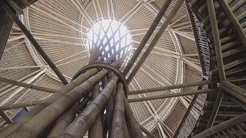 走向绿色：最环保的学校