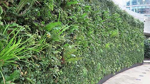 走向绿色：城市绿墙