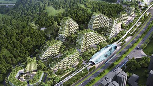 走向绿色：未来的城市