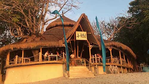 走向绿色：竹子是最具可持续发展的材料吗？