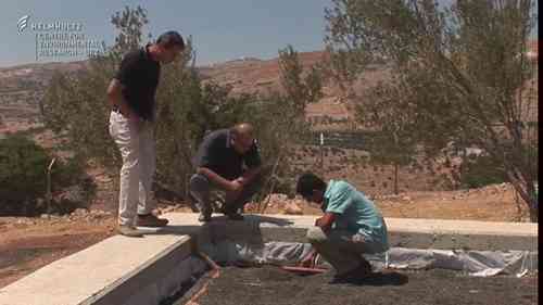 约旦的水资源管理