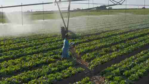 可持续的水资源