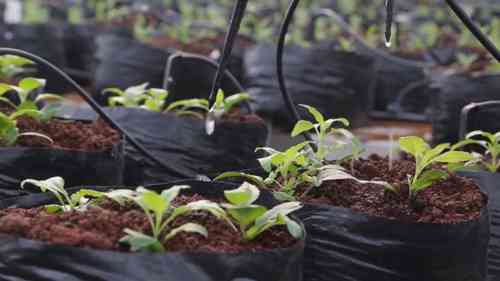 印度吉安灌溉系统公司