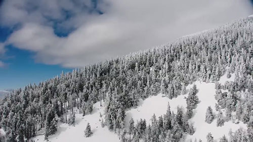 亚利桑那州的水1