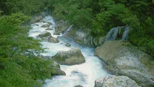 如何保护淡水资源