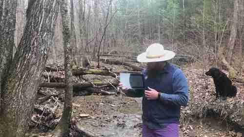 溪流的水质评估