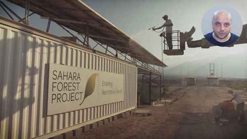 撒哈拉沙漠的食物种植