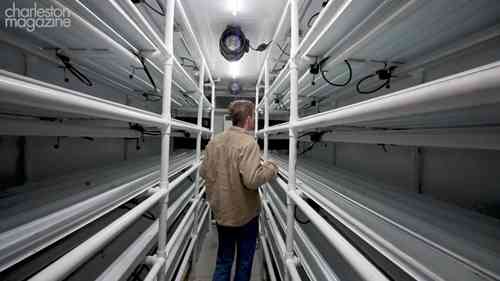 世界上首座室内盐水种植农场