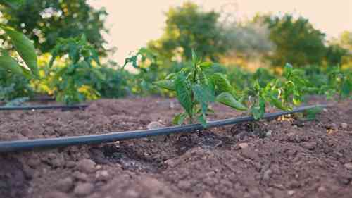 亚利桑那州的地下水7