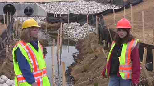 生物工程护岸技术