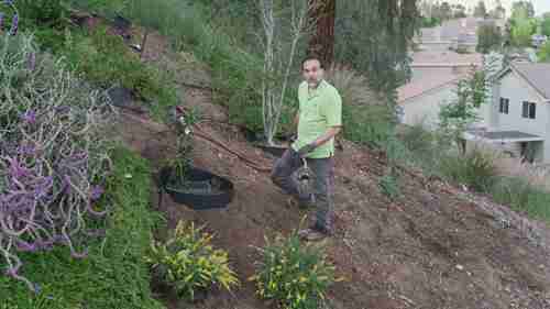 如何固定陡坡的土壤