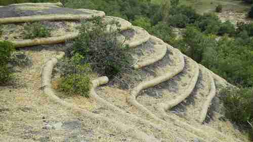 如何设置稻草篱笆防止土壤流失