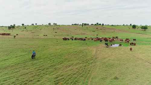 如何应对沟壑侵蚀1