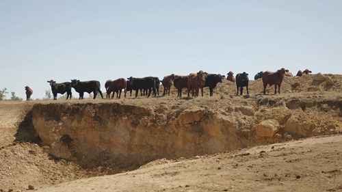 如何应对沟壑侵蚀3