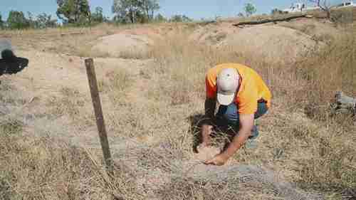 如何应对沟壑侵蚀4