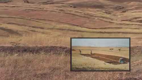 流域开发的原则