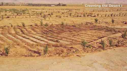 洼地的集水和保水功能