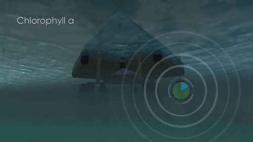 监测与控制水藻