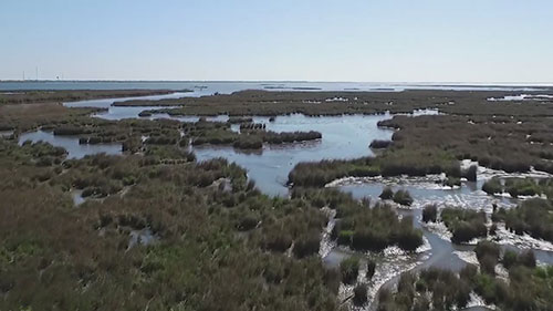 拯救路易斯安那州的海岸线