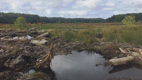 修复库纳姆塞特河