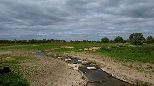 烟囱草甸湿地修复项目