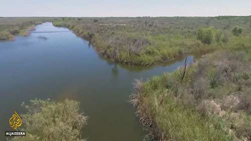 修复下加利福尼亚州的湿地