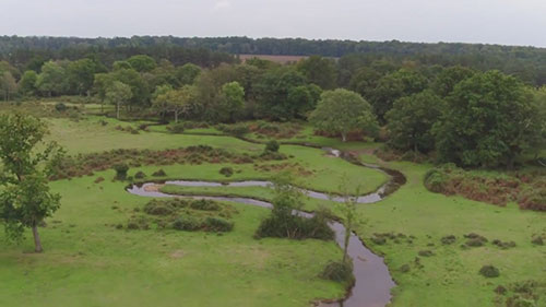 英国新森林湿地修复