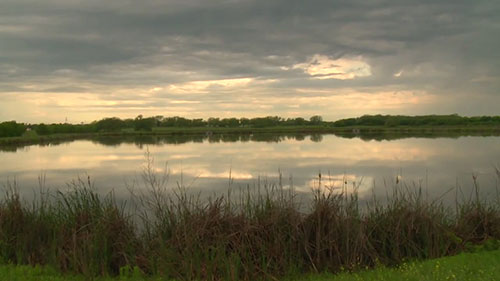 人工湿地处理污水