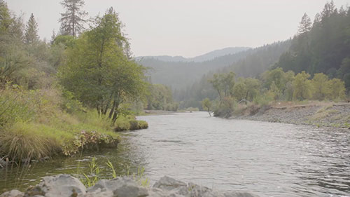 荷兰河河道恢复项目