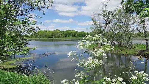 大坝鱼类通道的建设