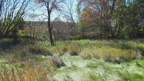 明尼苏达州西部的湿地修复