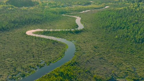 保护地球母亲的动脉