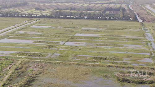 大沼泽地的湿地模型