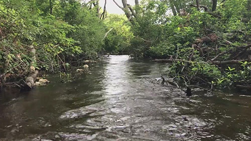 修复库那赛特河的阶段性成果