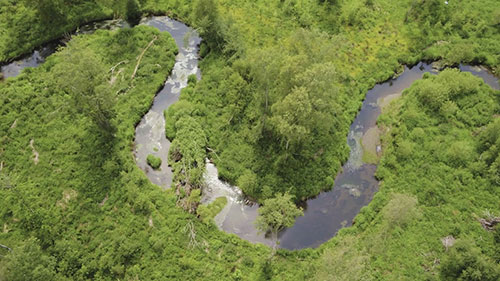 熊草溪生态恢复可行性研究