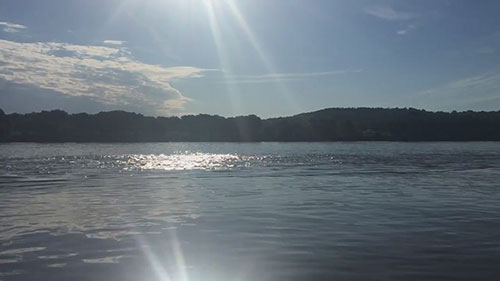 河流生态系统调查