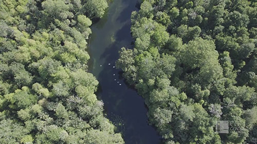 大沼泽地的修复