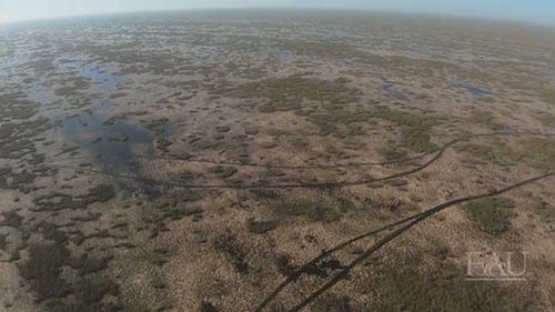 恢复大沼泽地公园的淡水水流