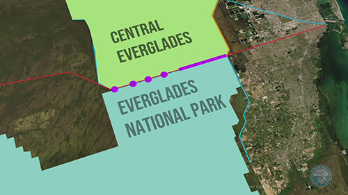 大沼泽地修复工程