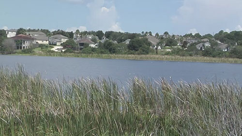 基西米河生态恢复