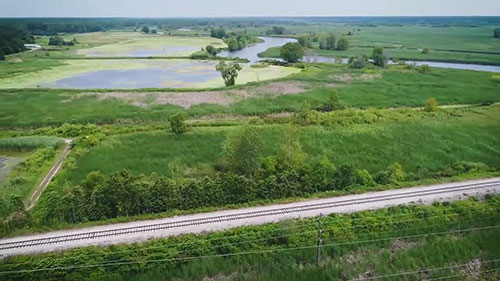 修复五大湖湿地
