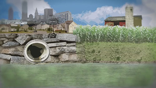 消除五大湖中的有害藻类