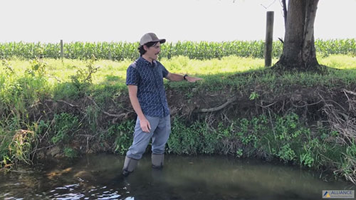 河流的河岸修复工作