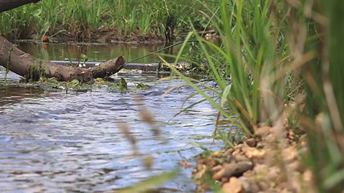 塔基溪的生态修复