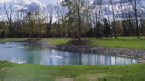 鳟鱼溪修复计划