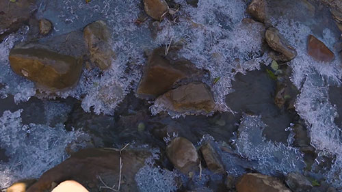 米勒溪流域治理